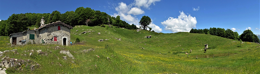 La bella conca pascoliva della Baita del Sornadello (1407 m)